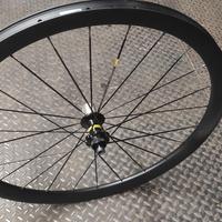 Ruota posteriore carbonio