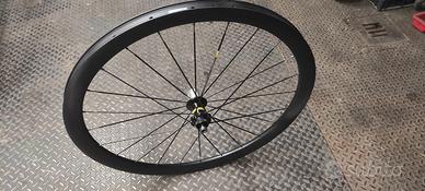 Ruota posteriore carbonio