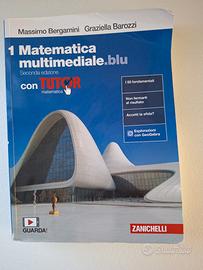 Matematica multimediale.blu (bergamoni Barozzi)