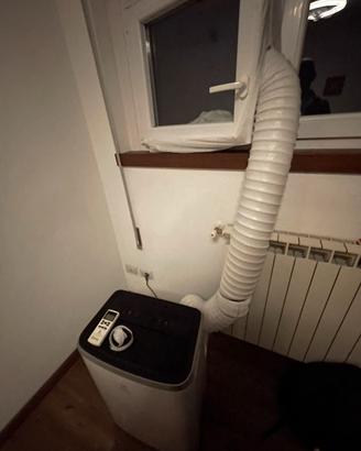Condizionatore portatile electrolux+accessori