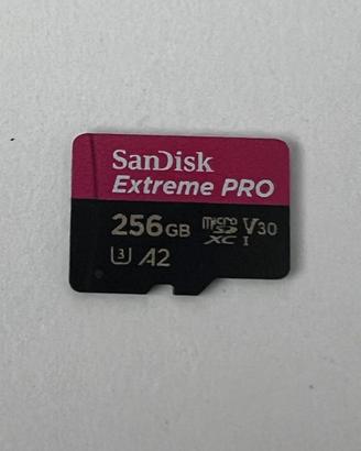 SCHEDA SanDisk Extreme PRO microSDXC 256GB