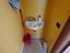 Immagine 15