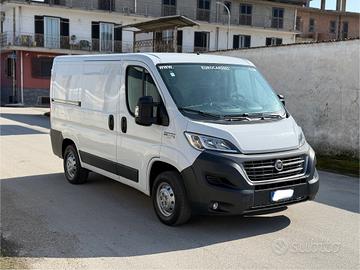 Ducato 2.3 mjt e6 frigo corto t basso no atp 2017