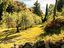 Immagine 25