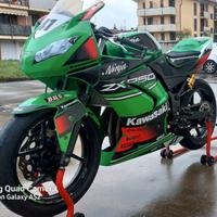 Kawasaki Ninja 250R - 2012