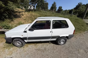 panda 4x4 trekking