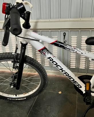 Bicicletta 20
