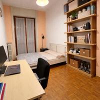 Stanza singola zona Bocconi/porta romana