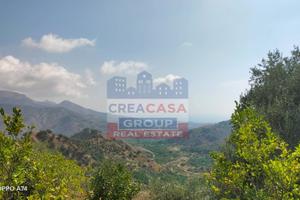 Terreno con rustico - Calatabiano