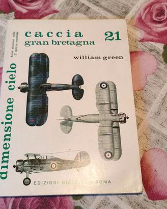 DIMENSIONE CIELO 21 - CACCIA RAF - GREEN -