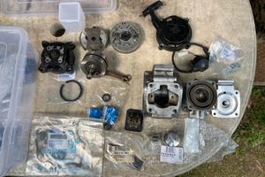 Blocco Motore Minimoto Polini 6,2