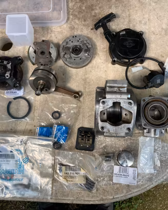 Blocco Motore Minimoto Polini 6,2