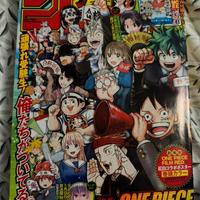 Magazine di one piece con rara carta promozionale