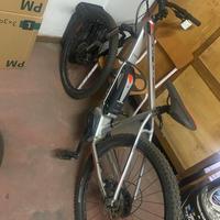Bici elettrica