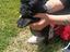 Immagine 4