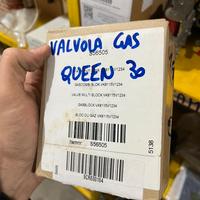 Ricambi caldaia Tata Queen/Paradigma Modula