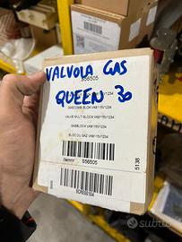 Ricambi caldaia Tata Queen/Paradigma Modula