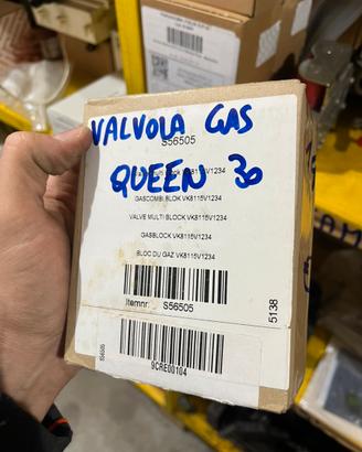Ricambi caldaia Tata Queen/Paradigma Modula