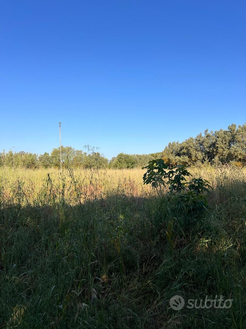 Terreno agricolo - Altro