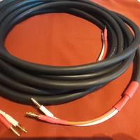 PRECIDE MDM ACE speaker cable