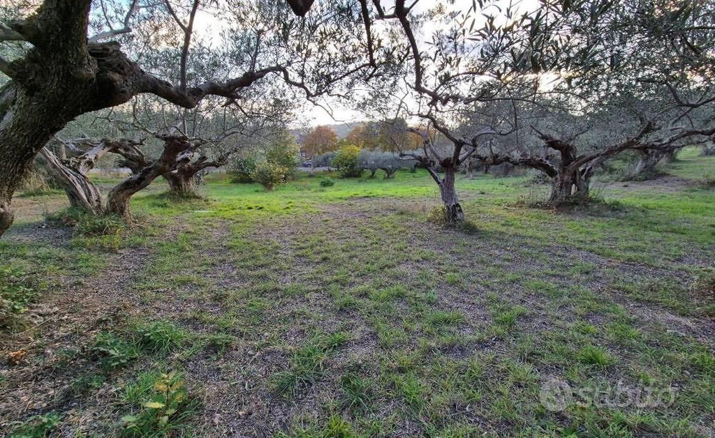 Immobile in asta di 2262 m² a Paduli - Vista 4