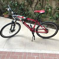 Mountain Bike mai come nuova