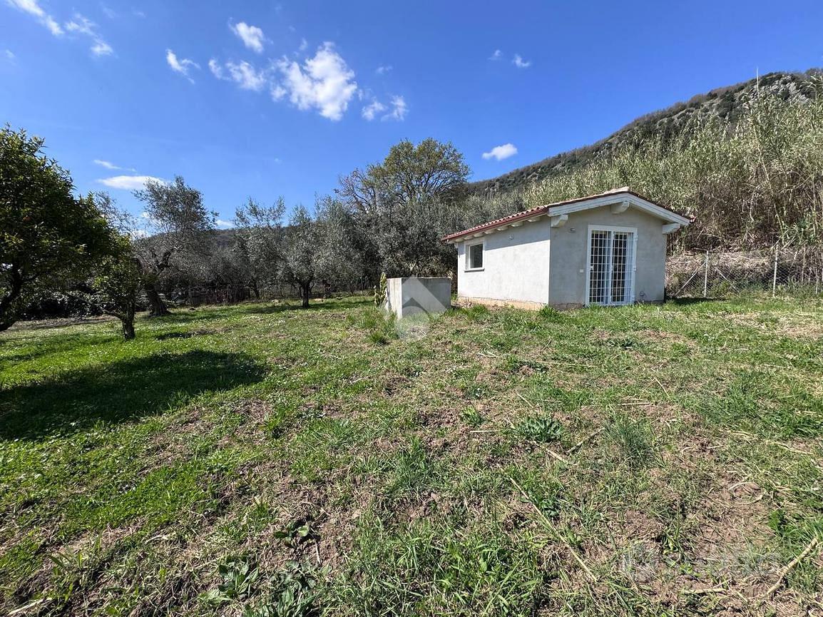 TER. AGRICOLO A TREVIGNANO ROMANO - Vista 4