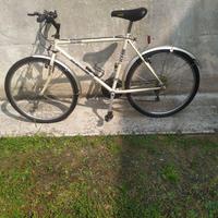 Mountain Bike da uomo adulto, Vintage, Montana.