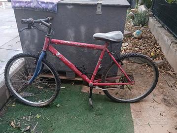 bicicletta 