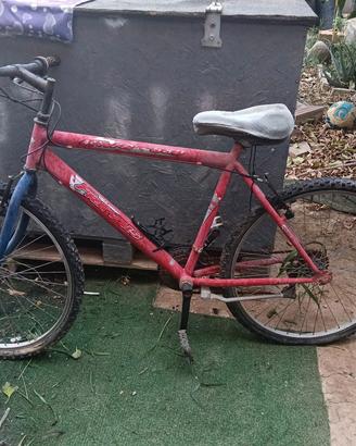 bicicletta 