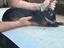 Immagine 5