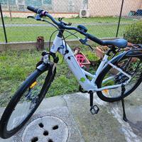 Bici elettrica