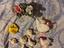 Immagine 2