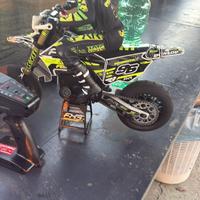Losi promoto mx