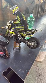 Losi promoto mx