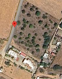 TERRENO AGRICOLO