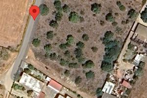 TERRENO AGRICOLO