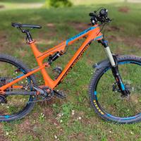 MTB CARBON