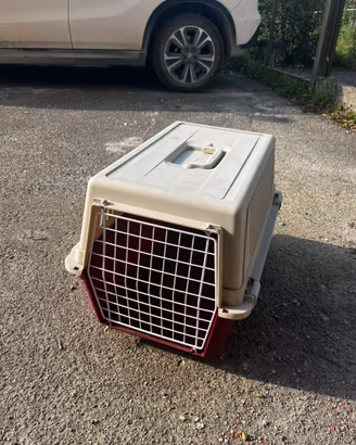 Kennel taglia medio/piccola