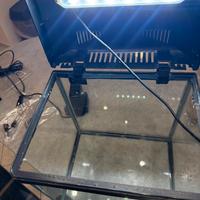 Acquario wave laguna più filtro sicce