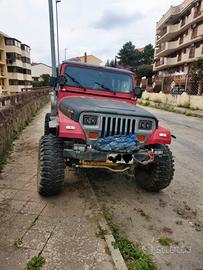 wrangler yj 4.0 ponti patrol omologata