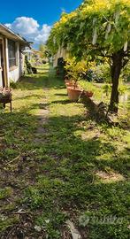 Terreno gratuito per orto/giardino