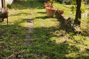 Terreno gratuito per orto/giardino