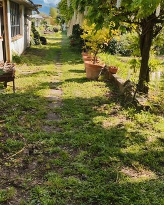 Terreno gratuito per orto/giardino