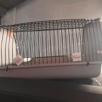 trasportino per uccelli