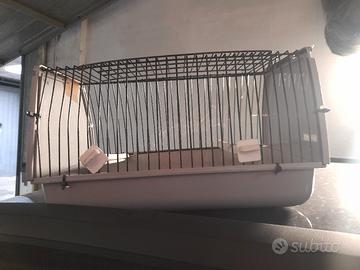 trasportino per uccelli