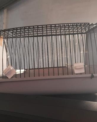 trasportino per uccelli