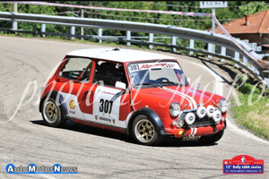 Mini Austin Rover da rally