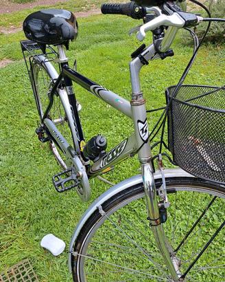 bici da uomo