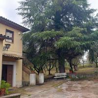 Tenuta - casale con oliveto